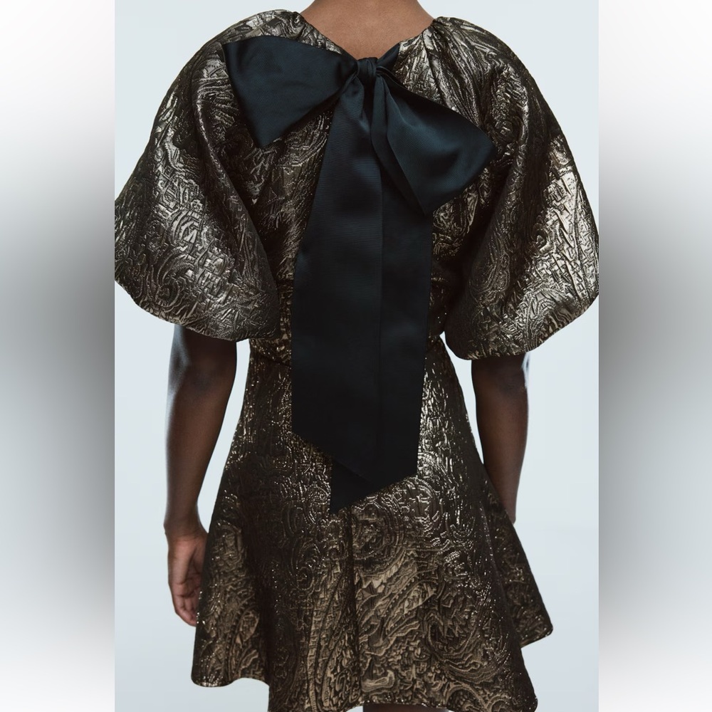 H&M NWT BlOGGER FAVORITE Balloon-Sleeved Party Mini Dress, Out of Stock, Size M